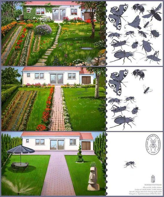 Illustratie: hoe meer plantvariatie in uw tuin, hoe meer insecten